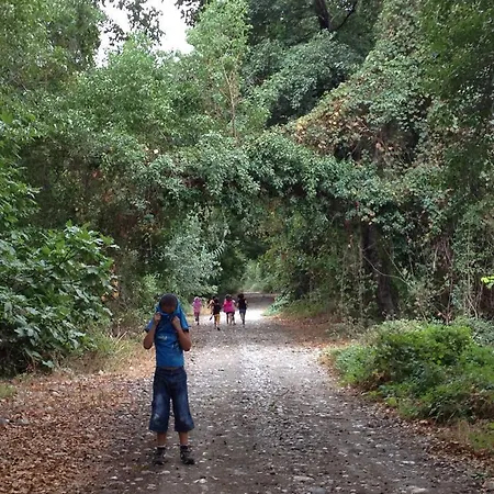 耶希尔巴彻简易别墅农家乐 - 阿萨普艾维勒