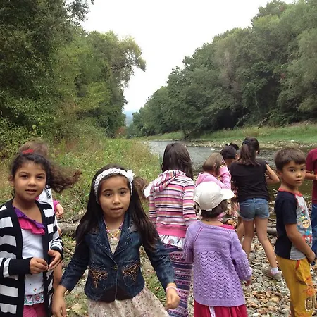 耶希尔巴彻简易别墅农家乐 - 阿萨普艾维勒 农家乐 *