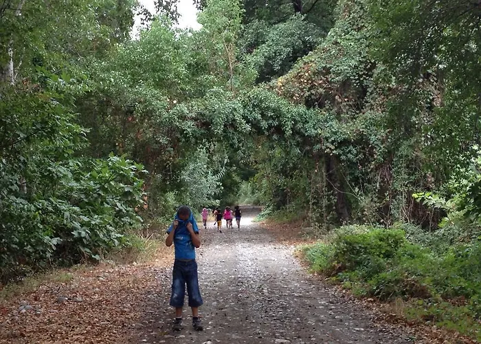 耶希尔巴彻简易别墅农家乐 - 阿萨普艾维勒