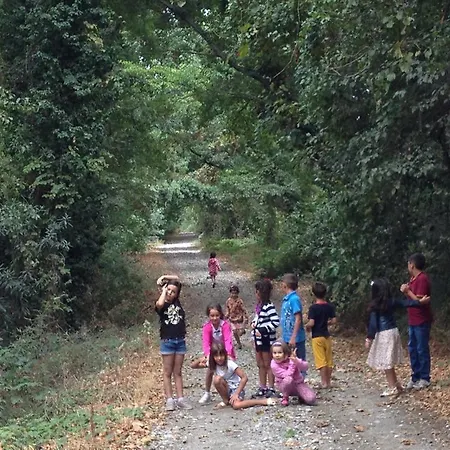 Yesil Bahce Bungalow - Ahsap Evler Farm stay Fethiye