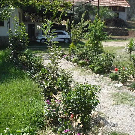 ファームステイ Yesil Bahce Bungalow - Ahsap Evler *