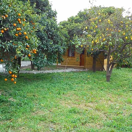 Farm stay Yesil Bahce Bungalow - Ahsap Evler