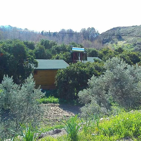 Farma Yesil Bahce Bungalow - Ahsap Evler