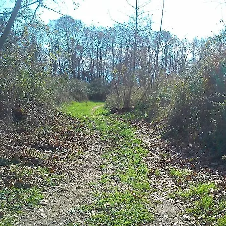 Farm stay Yesil Bahce Bungalow - Ahsap Evler