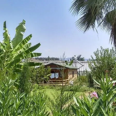 Yesil Bahce Bungalow - Ahsap Evler Fethiye