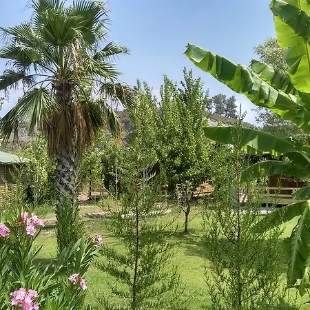 Farm stay Yesil Bahce Bungalow - Ahsap Evler