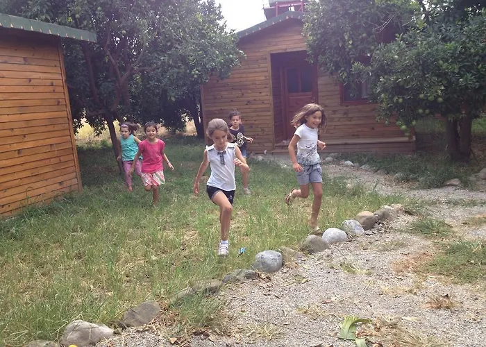팜스테이 Yesil Bahce Bungalow - Ahsap Evler