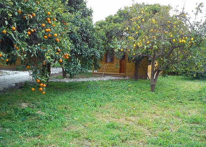 팜스테이 Yesil Bahce Bungalow - Ahsap Evler