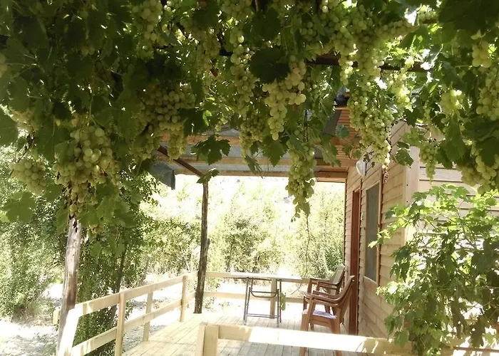 팜스테이 Yesil Bahce Bungalow - Ahsap Evler