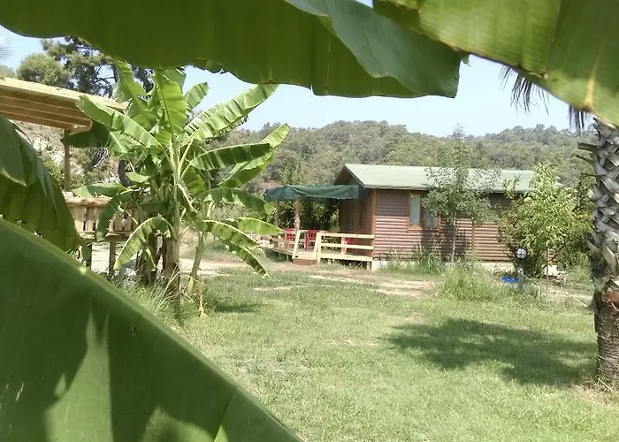팜스테이 Yesil Bahce Bungalow - Ahsap Evler 페티예