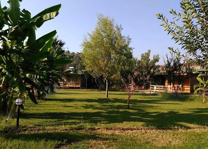 팜스테이 Yesil Bahce Bungalow - Ahsap Evler *