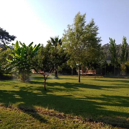Yesil Bahce Bungalow - Ahsap Evler Fethiye